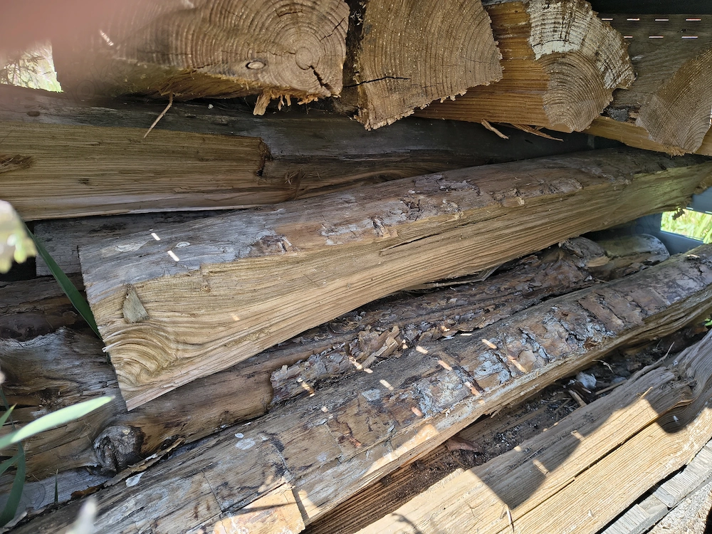 Brennholz Tannen- Pflaumen- und Paletten