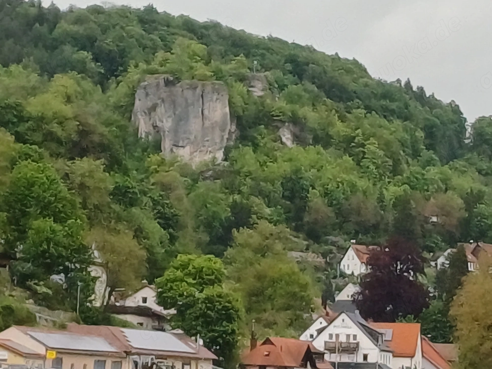 Freizeitgrundstück Wiese mit Obstkultur