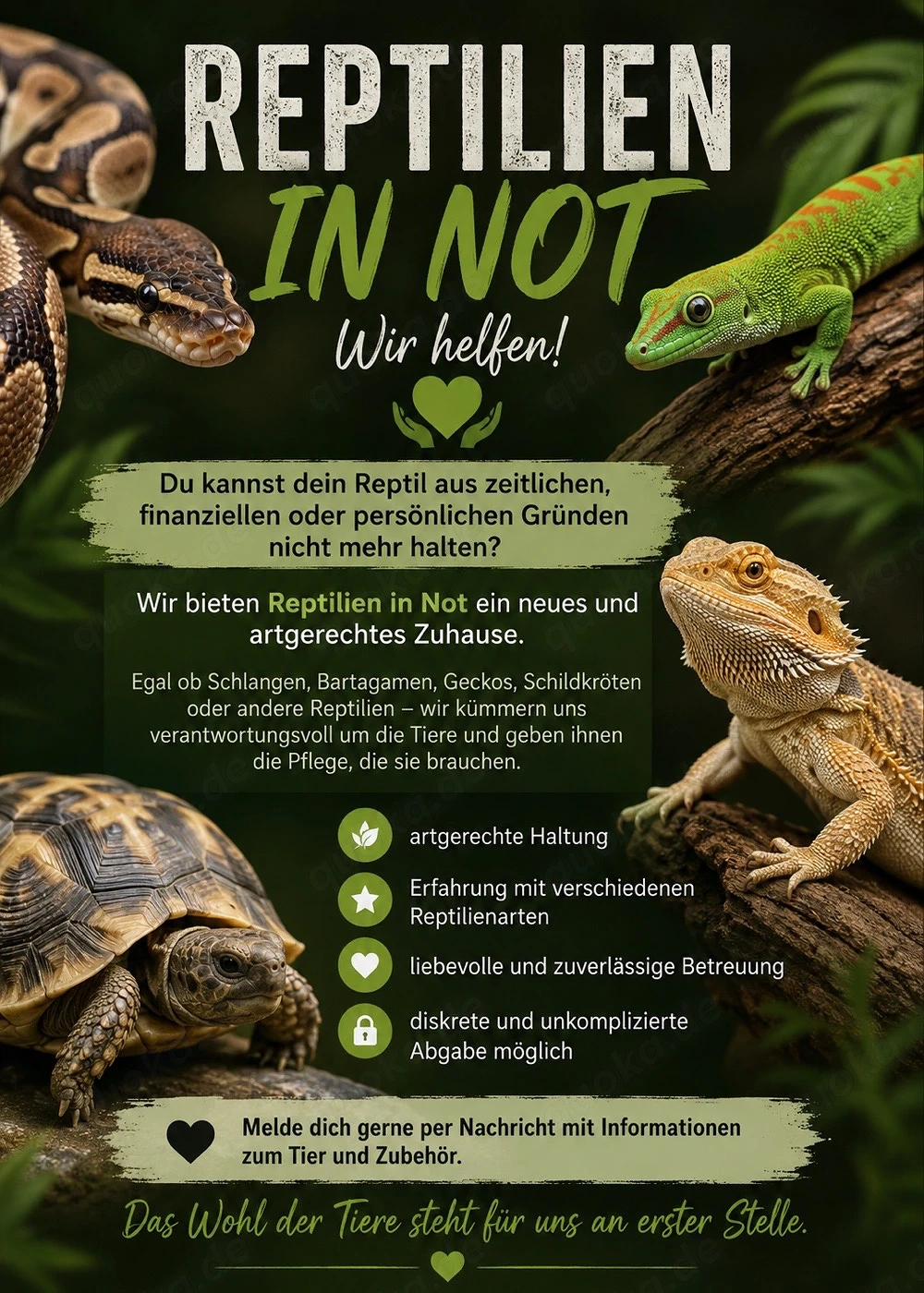 Reptilien Auffnahme 
