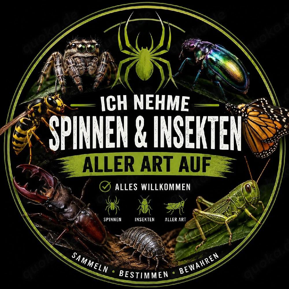 Wir nehmen Spinnen und Insekten aller Art auf.