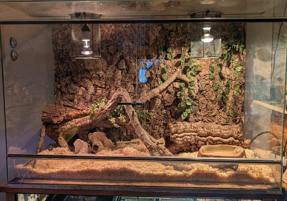 Terrarium, Glas, 120cm