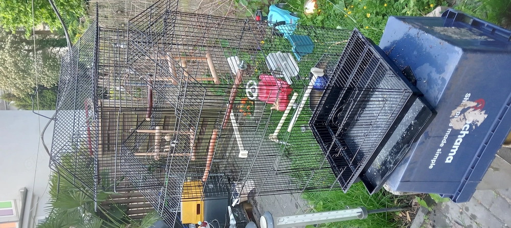 Biete an einen Vogelkäfig groß 