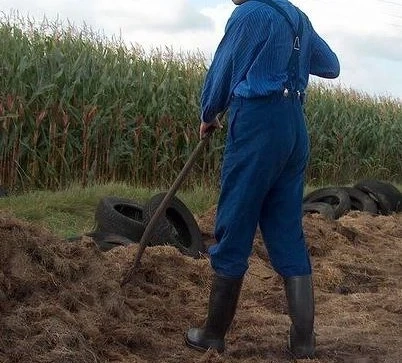 Dev Bauernsohn sucht älteren Landwirt