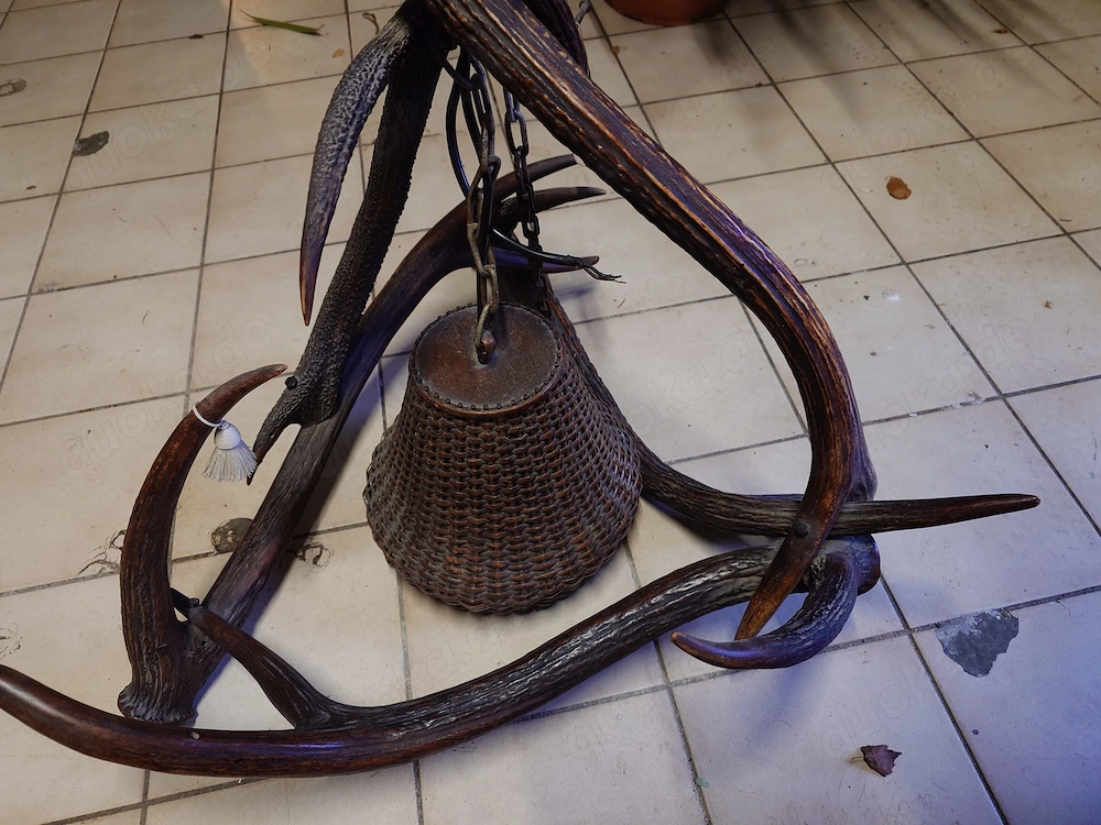 Geweihlampe einstrahlig 