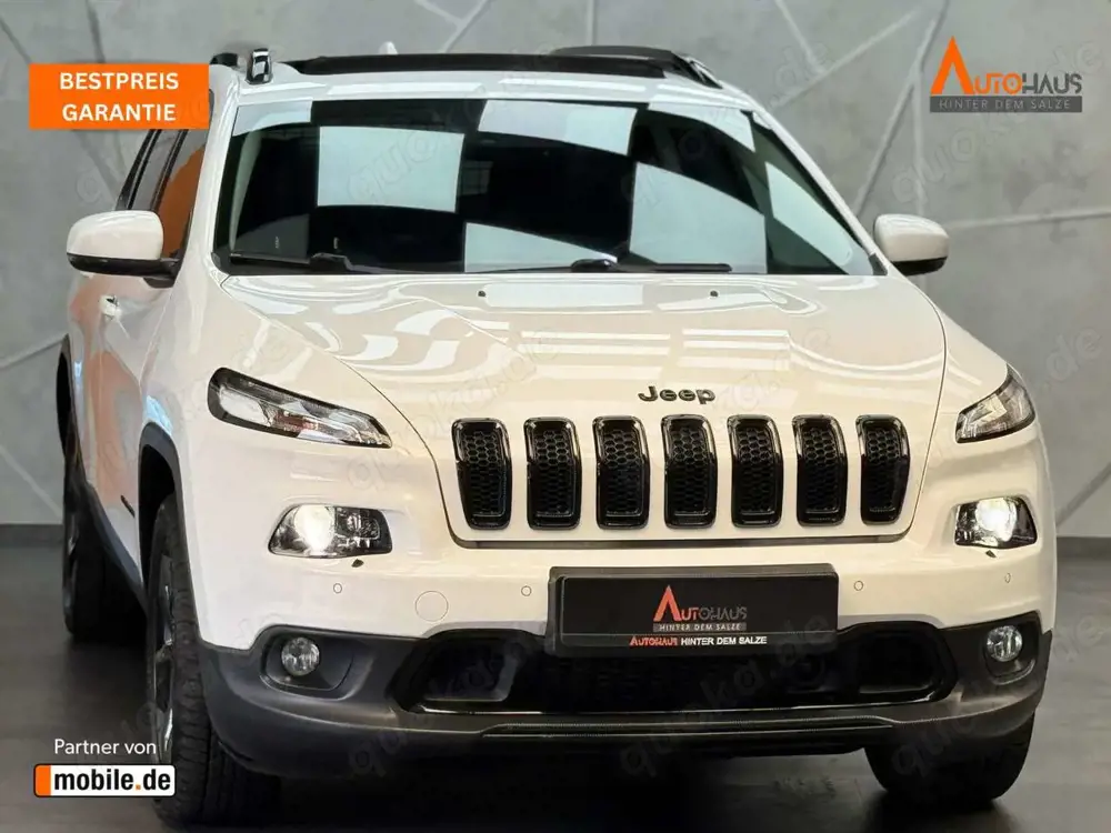 Jeep Cherokee Limited 4WD 2.2 M-Jet|MEMORY|BI-XEN|KAM