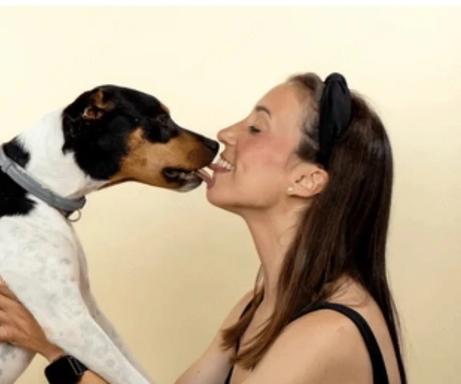 Suche Sie mit Rüden