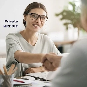 Private Kapital: Unternehmen und Privatpersonen.