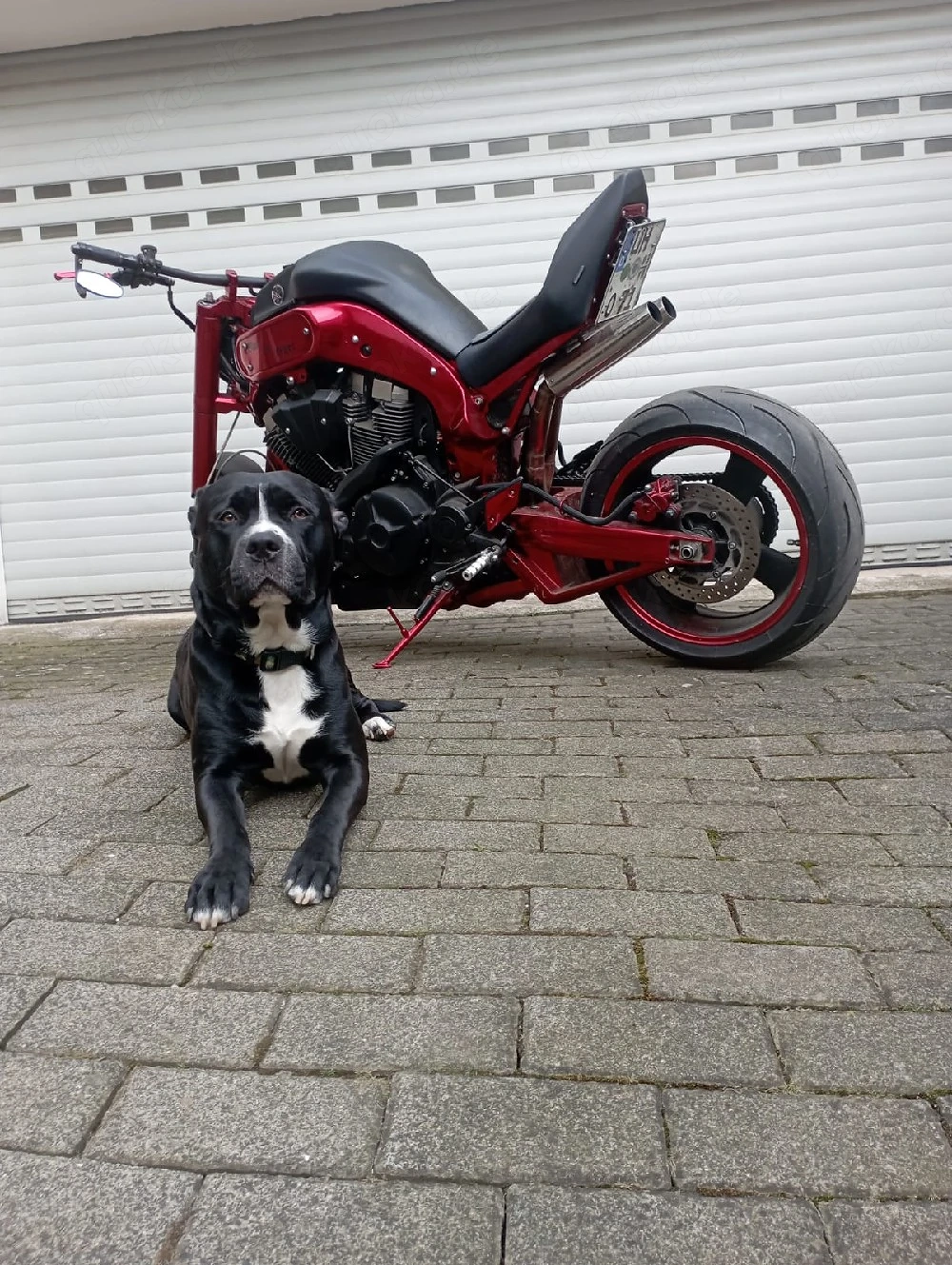 Yamaha MT 01