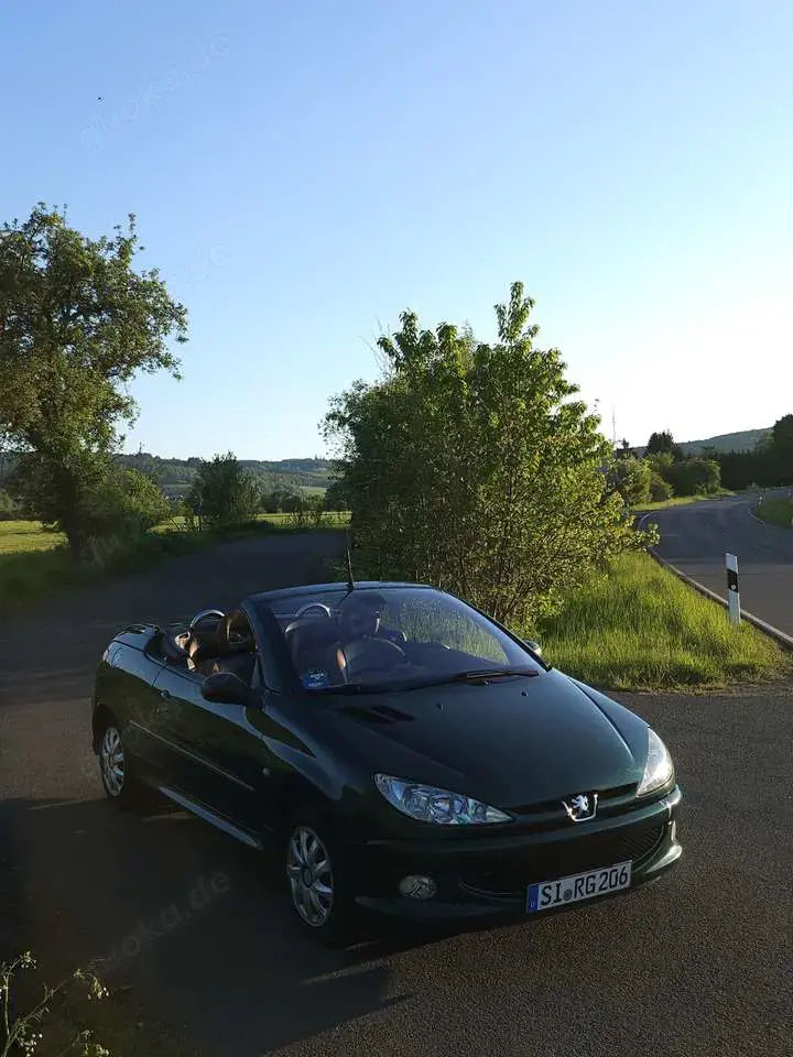 Peugeot 206 CC 110 Roland Garros