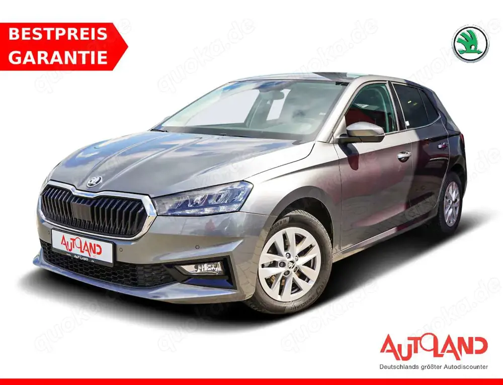 Skoda Fabia 1.0 TSI DSG LED Kamera Sitzheizung