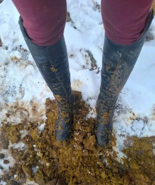 Dreckige Reitstiefel oder Hunter Gummistiefel