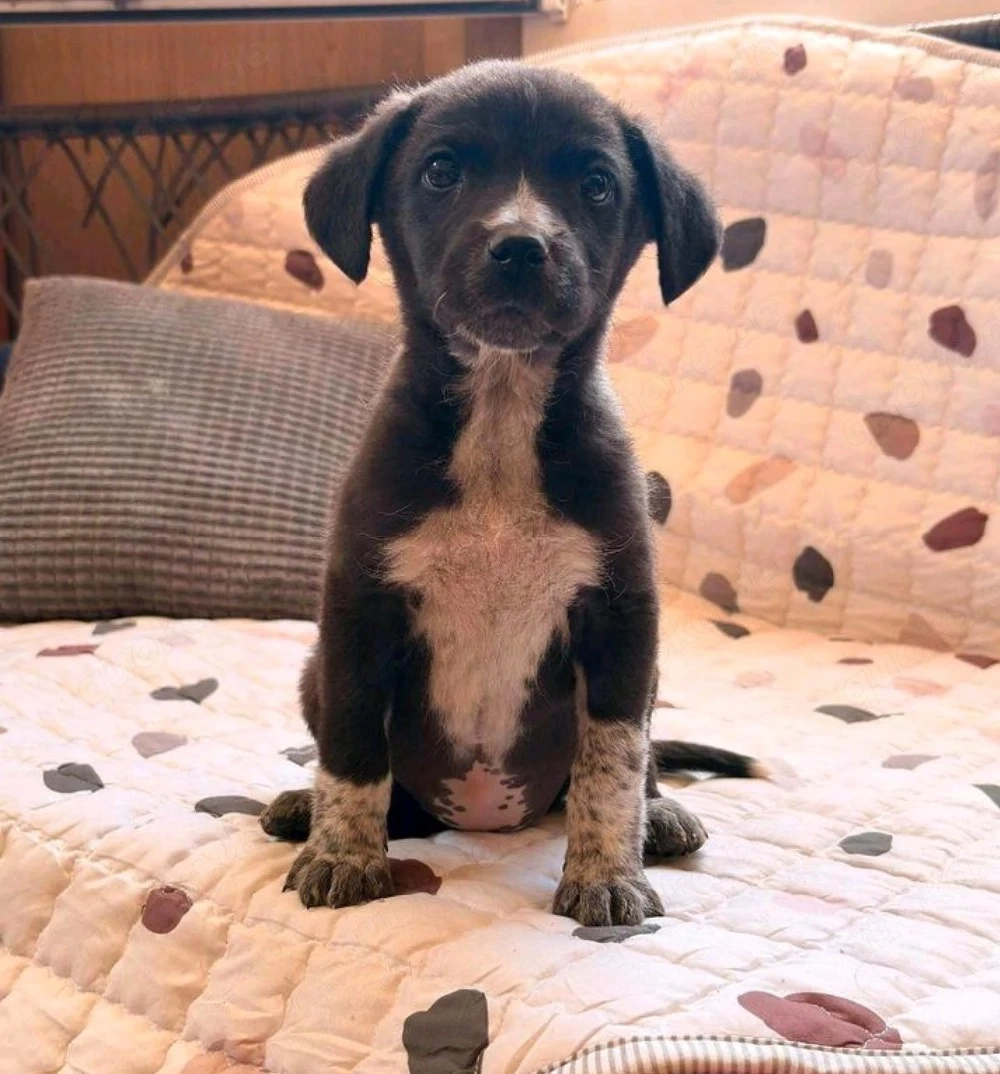 Nori - kleine Lady sucht dich!