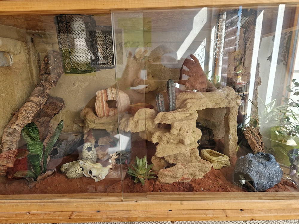 Terrarium (ohne Bewohner)