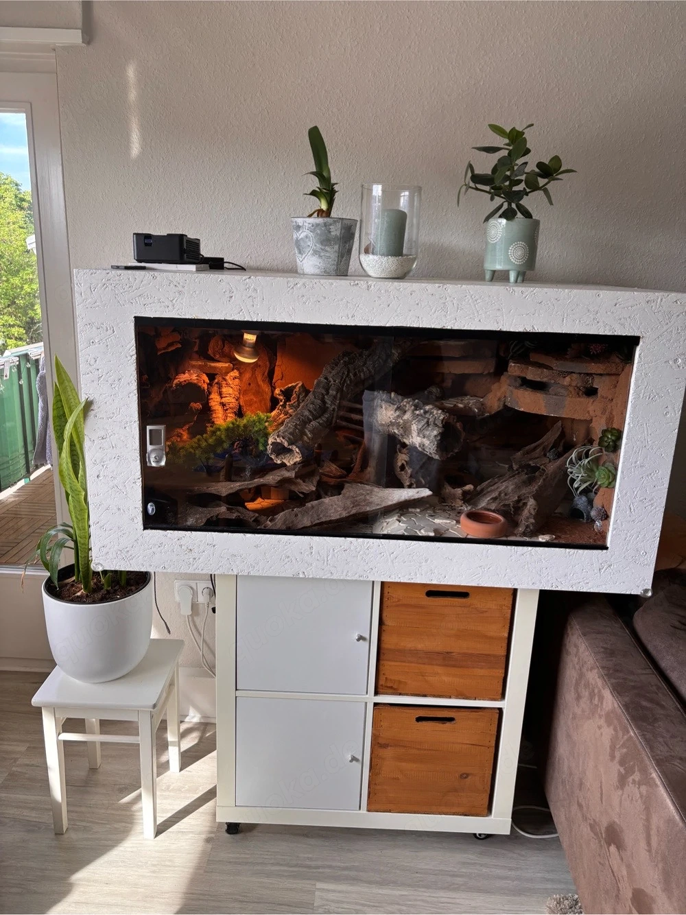 Leopardgecko mit Terrarium 120 60 60