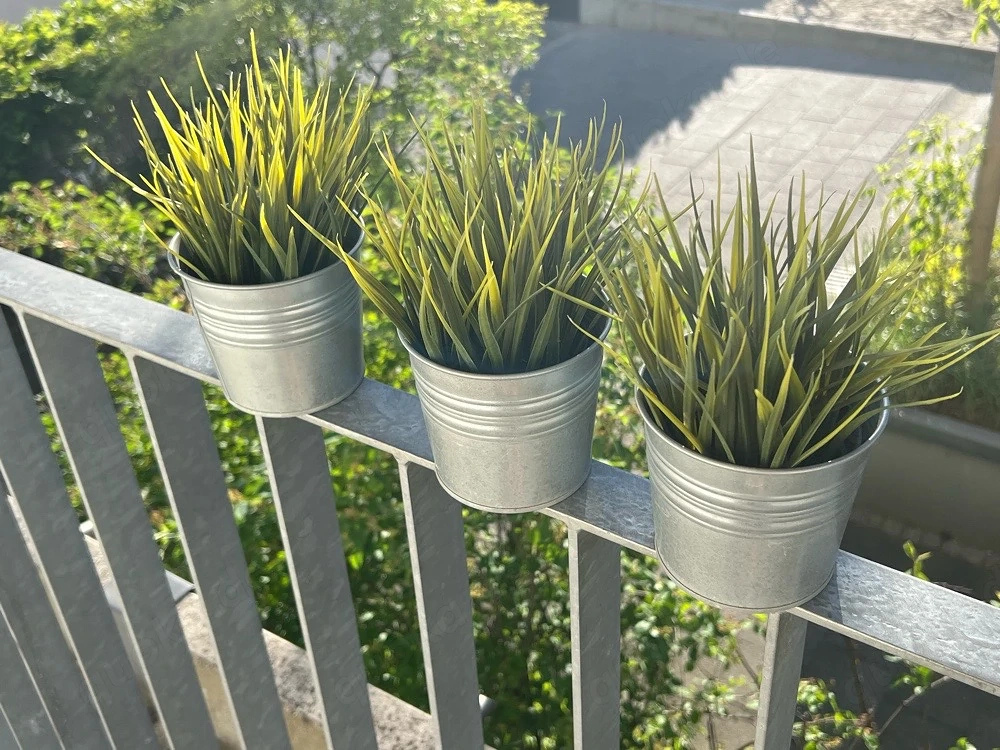 Topfpflanze mit Blumentopf