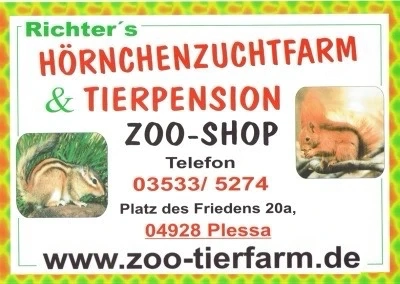 Streifenhörnchenkinder suchen liebevolles Zuhause!