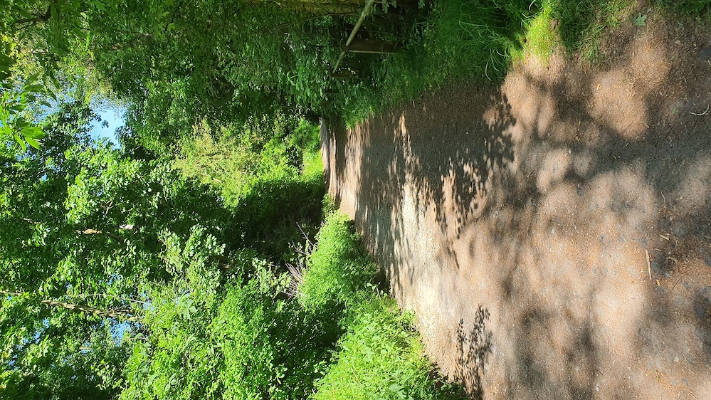 Suche am Silbersee einen Mann der sich Blasen lassen möchte