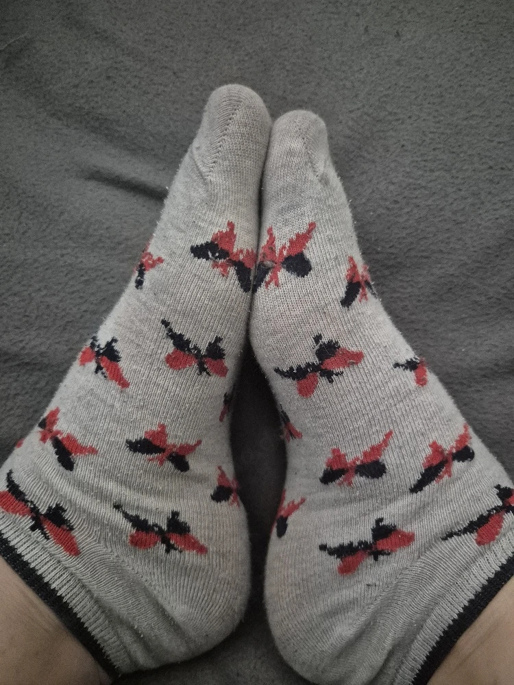 getragene socken