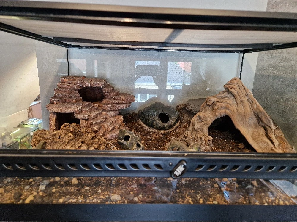 leerstehendes Exo Terra Terrarium 