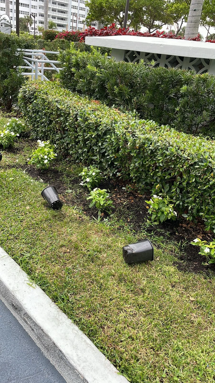 rofessioneller Garten