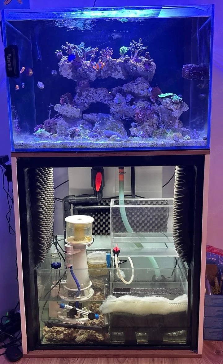 Meerwasser Aquarium Blue Marin 200l