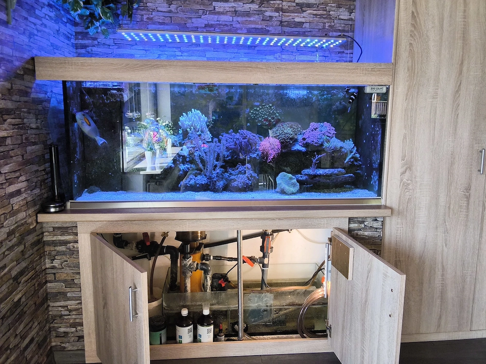 Meewasser Aquarium Koplett
