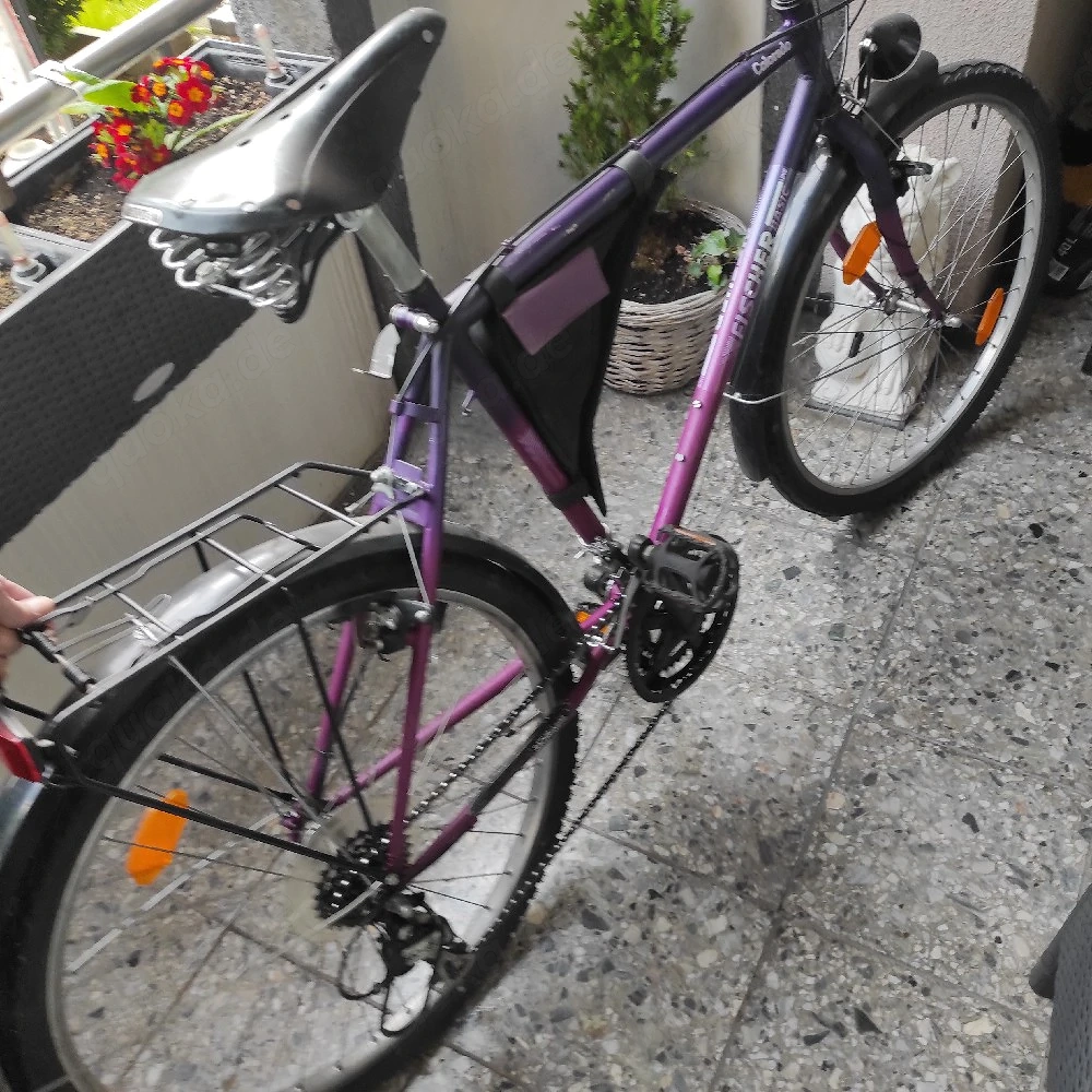 Fahrrad Fischer Basic 