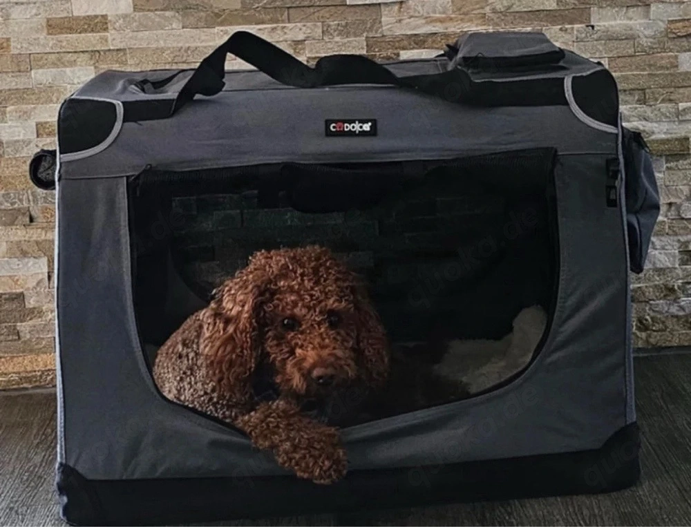 Hundebox NEU Transportbox Reisebox Autobox Faltbar Hundebett 