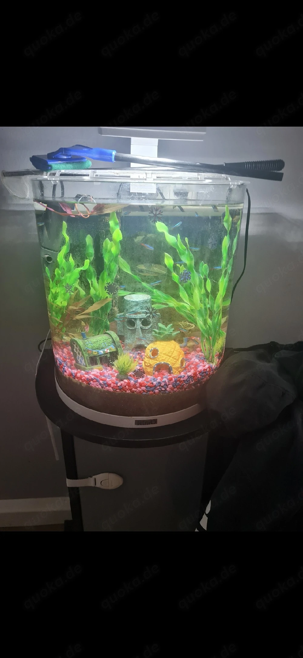 30 L Aquarium 