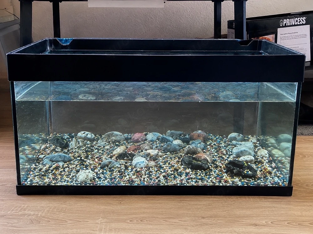 Aquarium mit Pumpe und Licht zu verkaufen.