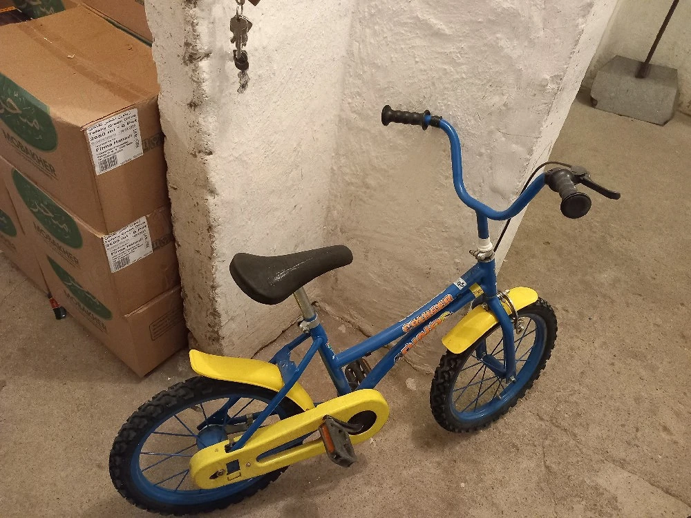 Kinderfahrrad