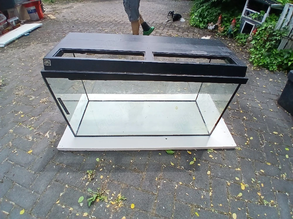 Aquarium Becken