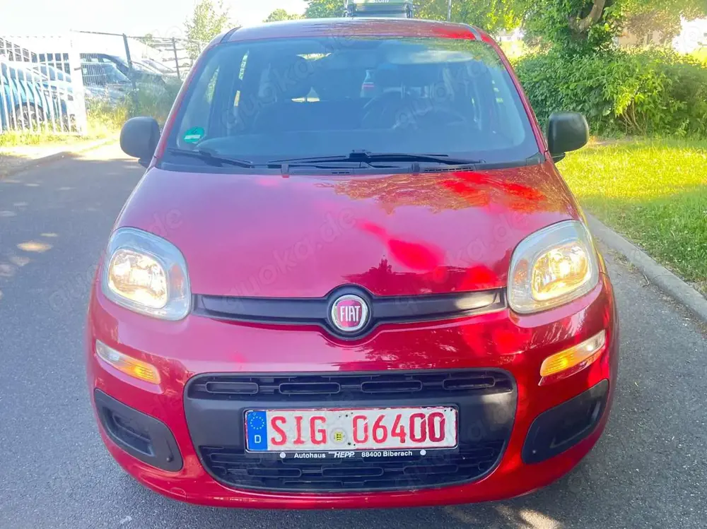 Fiat Panda Panda 1.2 inkl 12 Monate Garantie tüv05/2028