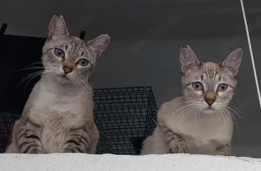 Mia und Zoe in Wiesbaden (ALO)
