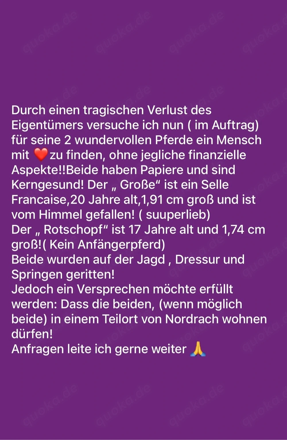 Mensch mit viel Herz gesucht