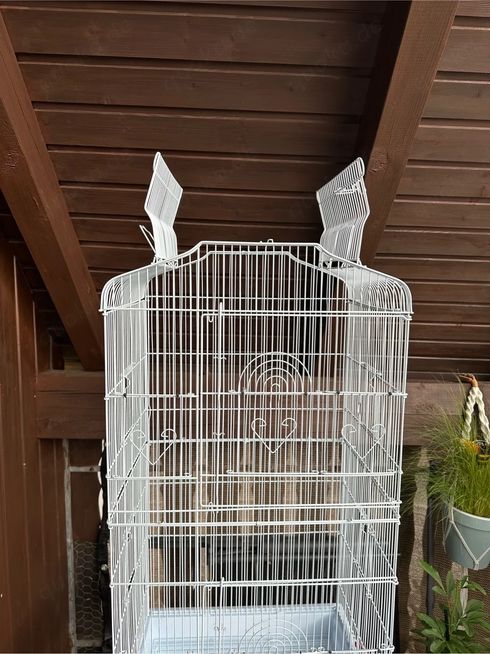 Vogelkäfig 
