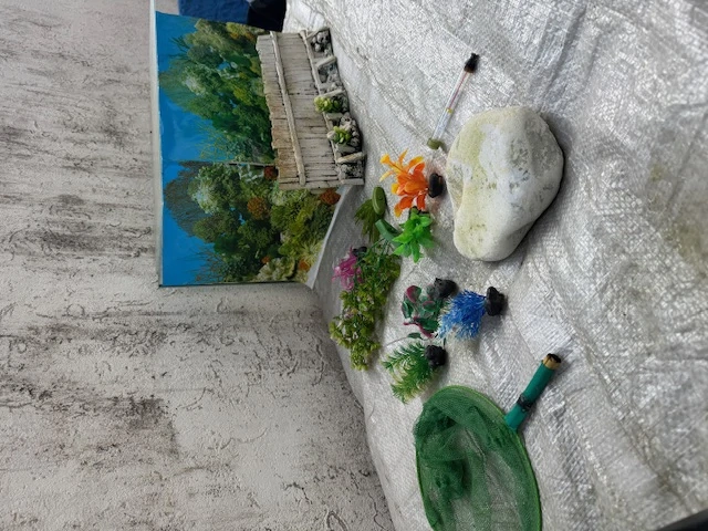 Aquariums Zubehör für Fische