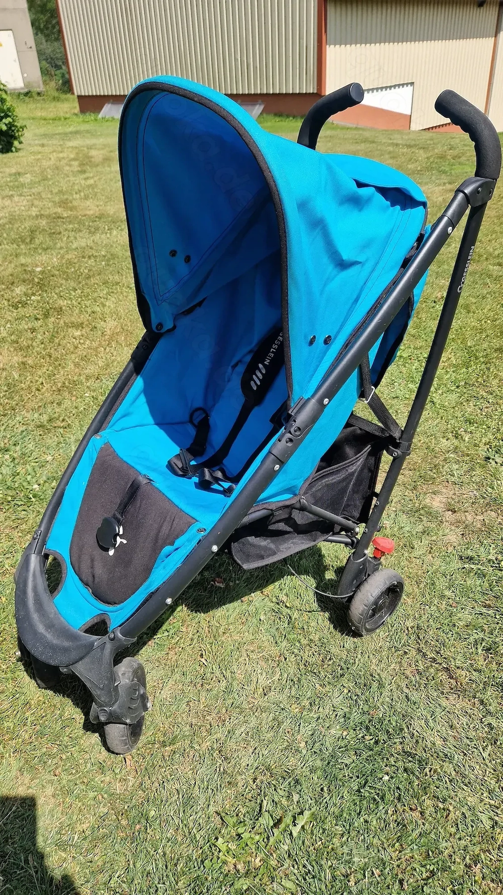 Buggy Gesslein Swift