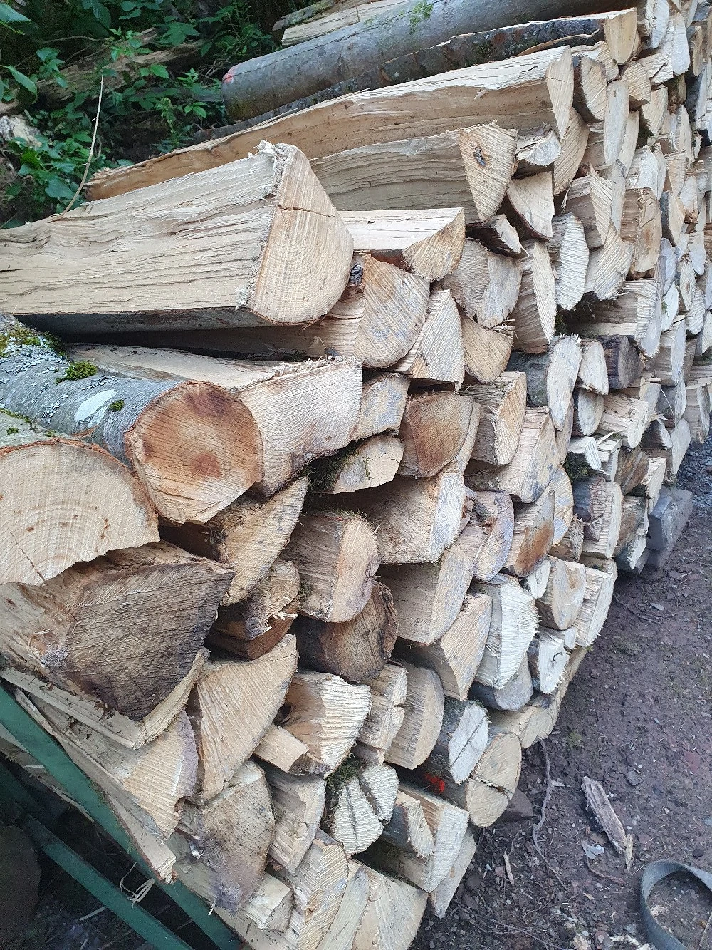 Brennholz Buche trocken 
