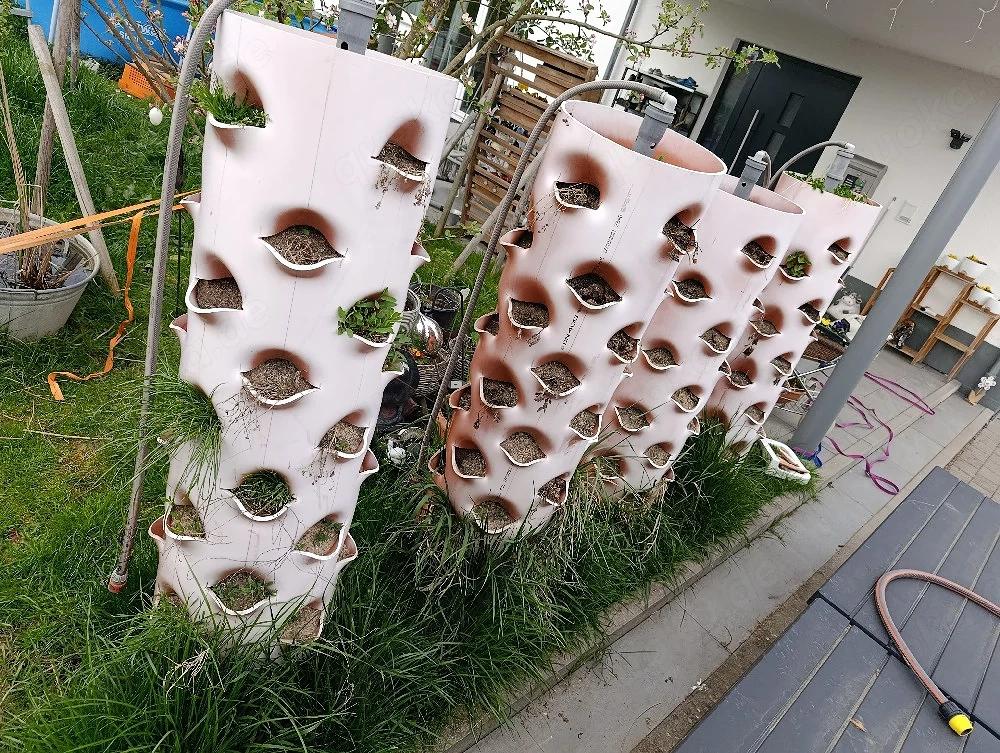 Erdbeersäule Gemüse Säule groß Garten
