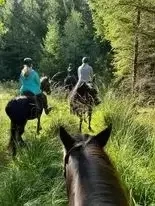 Ferien auf dem Reiterhof für Mädchen ab 10 Jahren,  Sommer noch einige Plätze frei. 