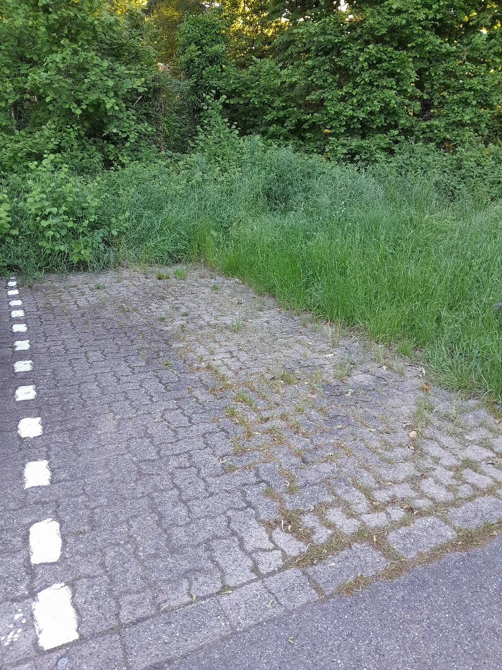 Parkplatz Stellplatz 