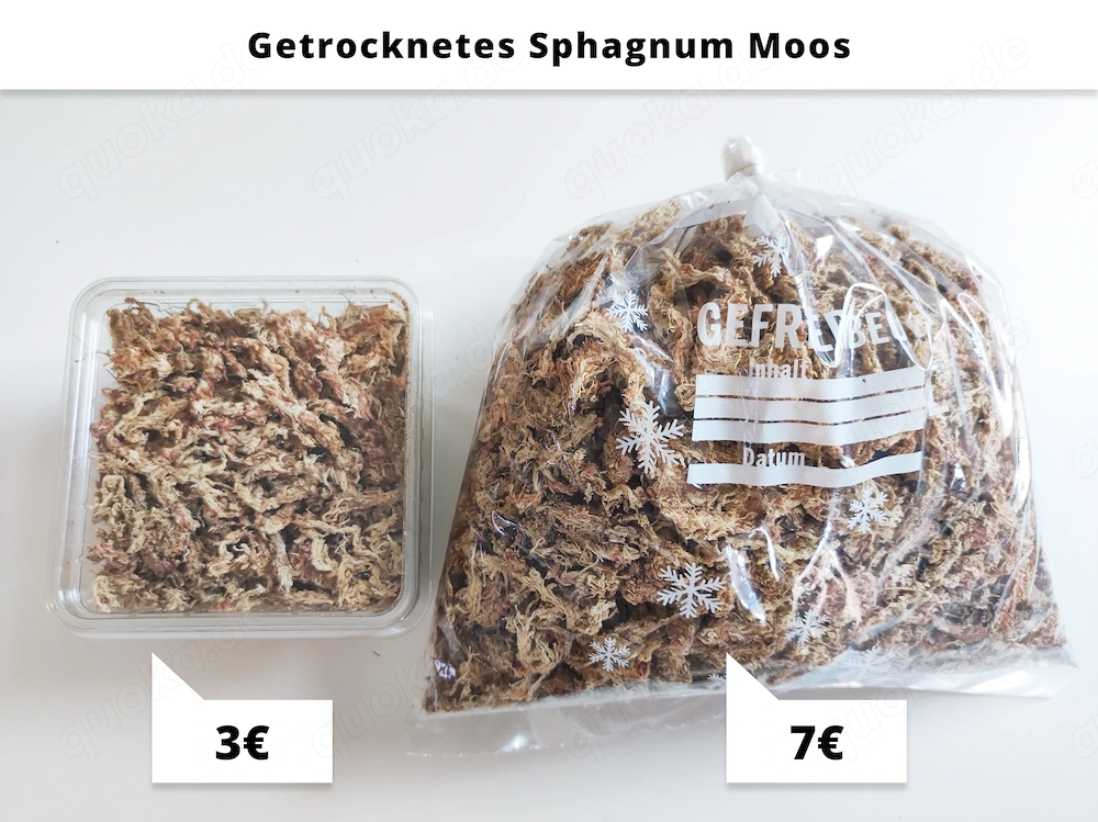 Terrarium Zubehör für Asseln, Tausendfüßer (Sphagnum Moos, Rinde, Muschelgrit, Waldmoos)