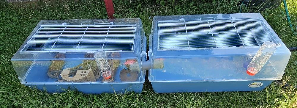 Kleintierkäfig Mäusekäfig Futtertiere 1,40m