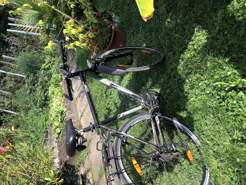 Herrenfahrrad, 21 Gänge