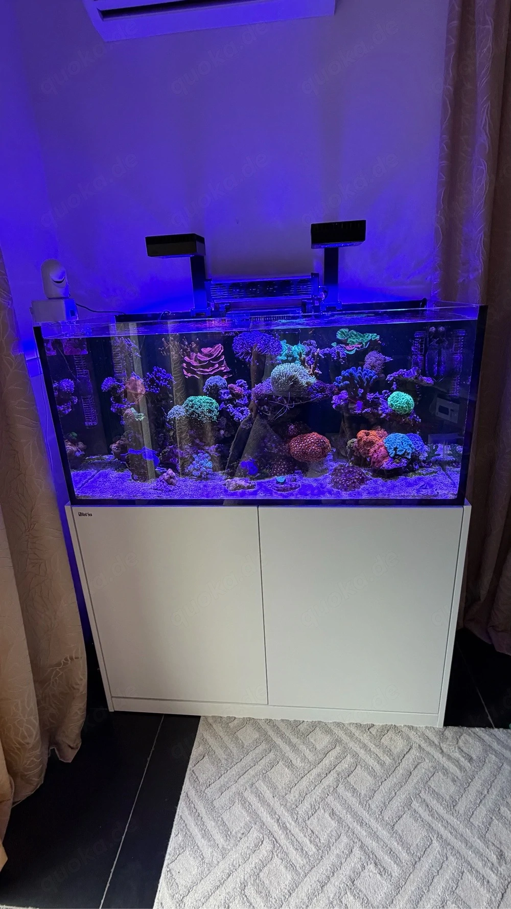 Meerwasseraquarium Red Sea Reefer 425 Vollauslastung NP ü 10000 