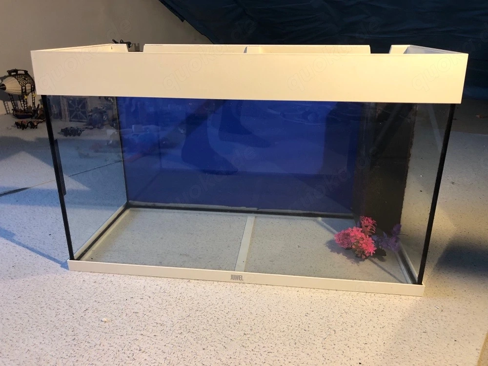 Aquarium von Juwel mit Zubehör komplett