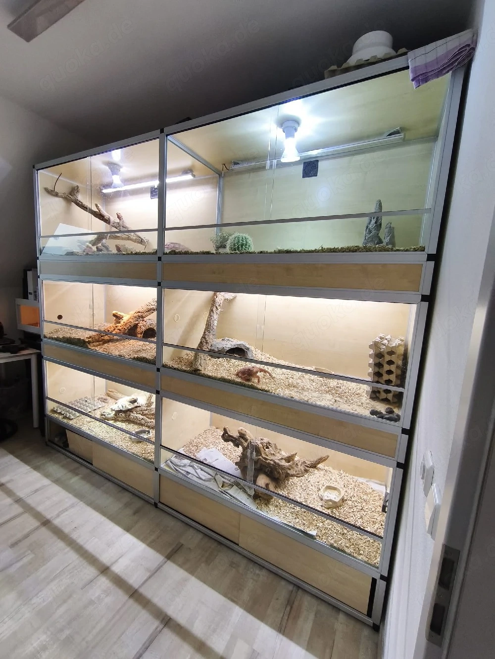 Terrarienanlage mit 6 Becken
