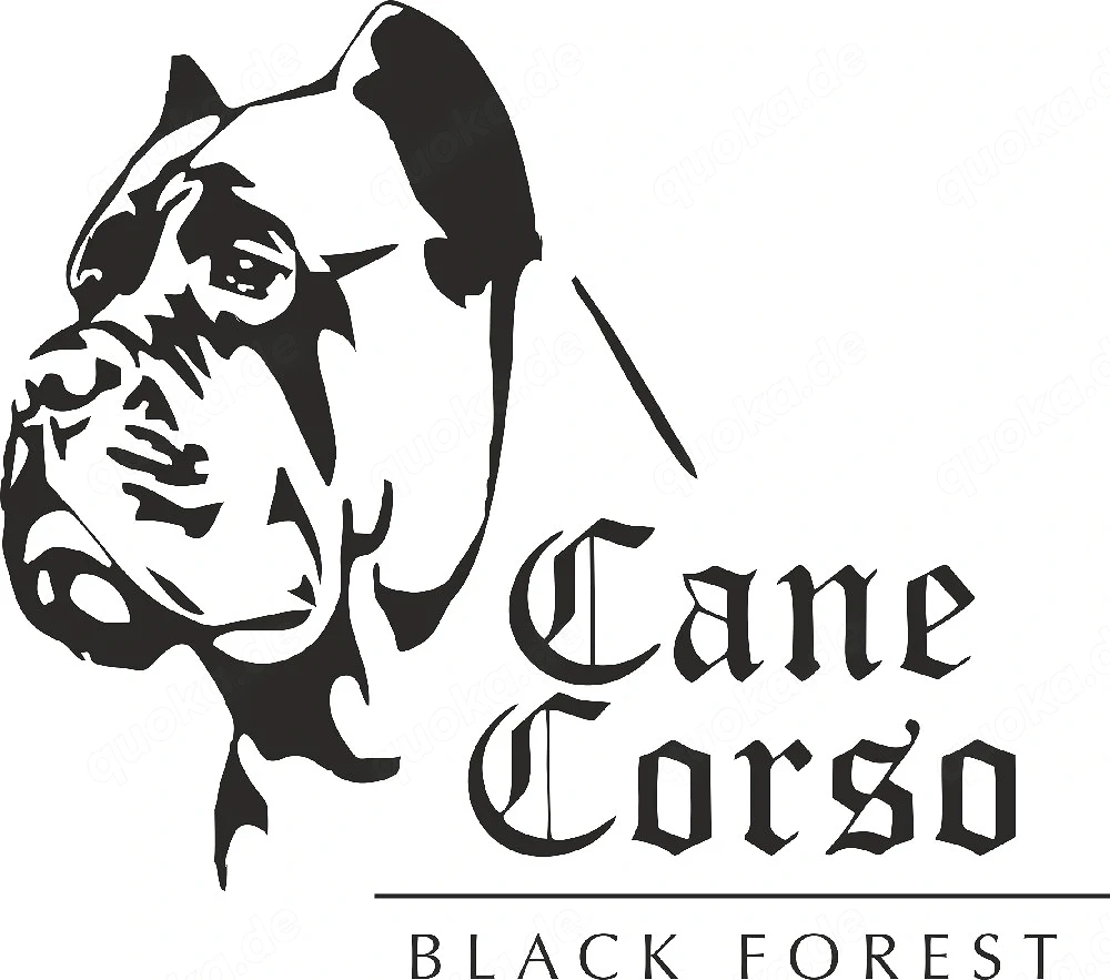 Reinrassige Cane Corso Welpen FCI  IKU 
