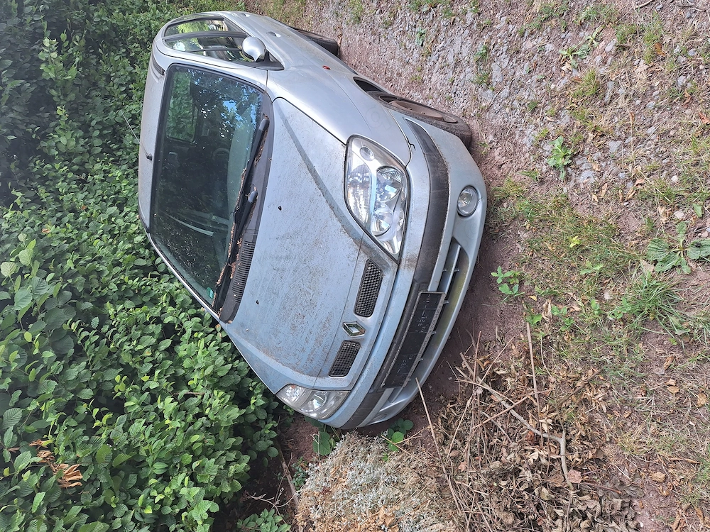 Renault Megan